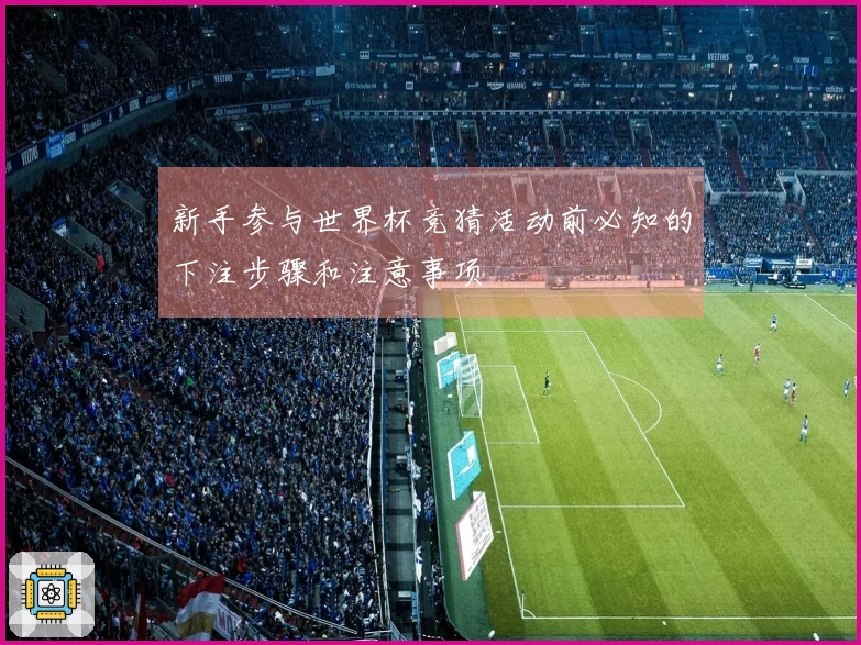 新手参与世界杯竞猜活动前必知的下注步骤和注意事项