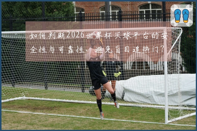 如何判断2026世界杯买球平台的安全性与可靠性，避免盲目追热门？