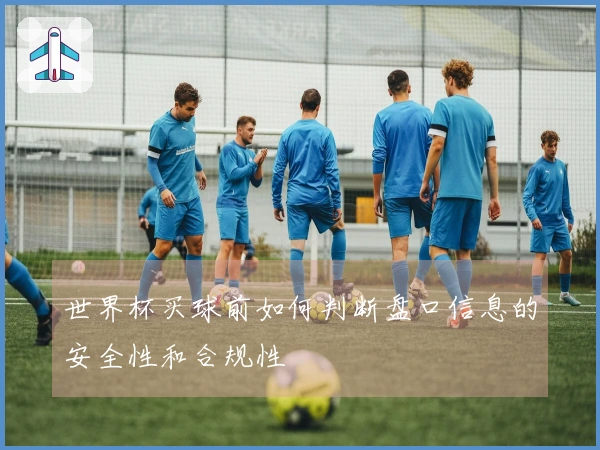 世界杯买球前如何判断盘口信息的安全性和合规性