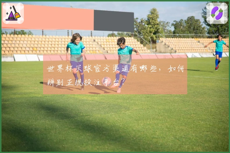 世界杯买球官方渠道有哪些，如何辨别正规投注平台？