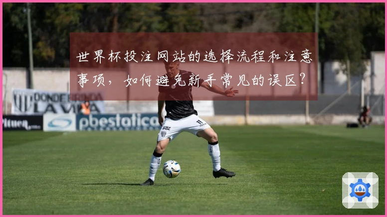 世界杯投注网站的选择流程和注意事项，如何避免新手常见的误区？
