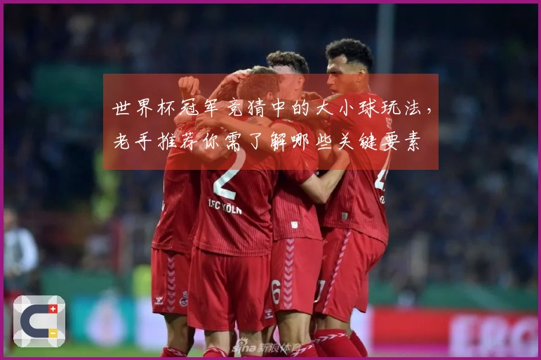 世界杯冠军竞猜中的大小球玩法，老手推荐你需了解哪些关键要素