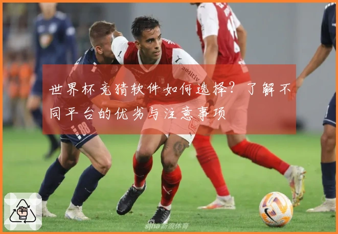 世界杯竞猜软件如何选择？了解不同平台的优劣与注意事项
