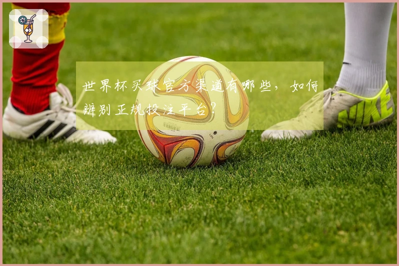 世界杯买球官方渠道有哪些，如何辨别正规投注平台？