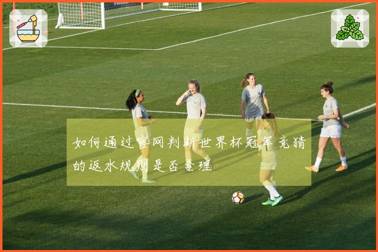如何通过官网判断世界杯冠军竞猜的返水规则是否合理