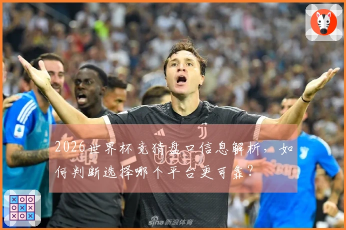 2026世界杯竞猜盘口信息解析，如何判断选择哪个平台更可靠？