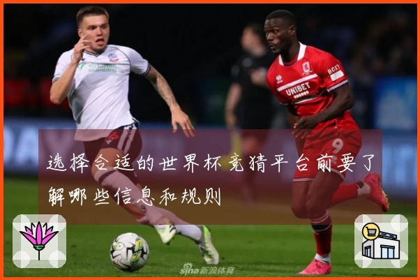 选择合适的世界杯竞猜平台前要了解哪些信息和规则