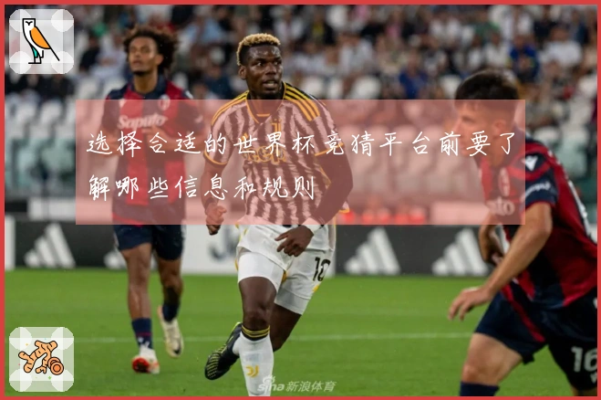 选择合适的世界杯竞猜平台前要了解哪些信息和规则