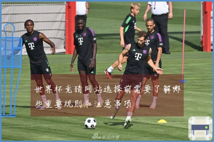 世界杯竞猜网站选择前需要了解哪些重要规则和注意事项
