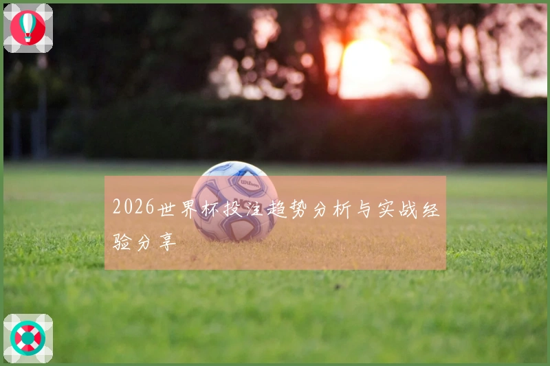 2026世界杯投注趋势分析与实战经验分享