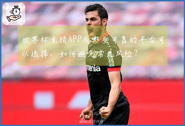 世界杯竞猜APP有哪些可靠的平台可以选择，如何避免常见风险？