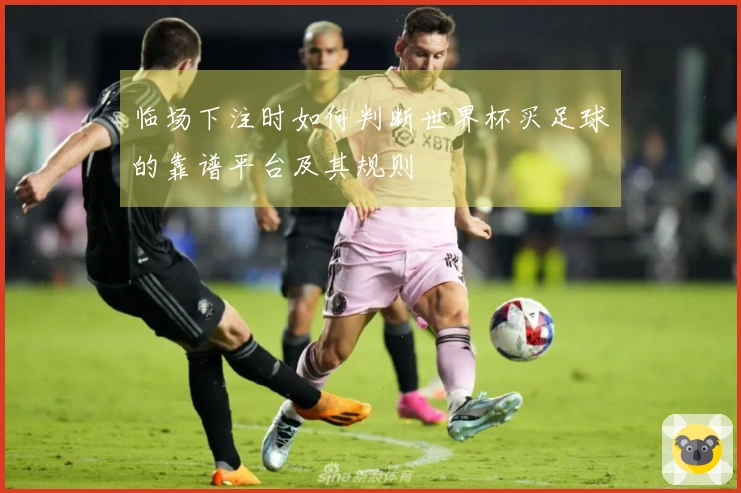 临场下注时如何判断世界杯买足球的靠谱平台及其规则
