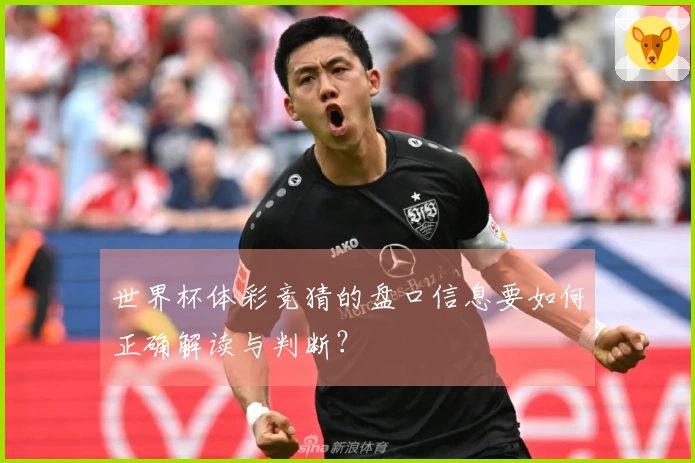 世界杯体彩竞猜的盘口信息要如何正确解读与判断？