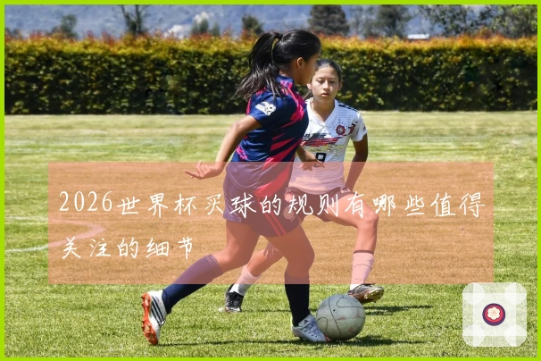 2026世界杯买球的规则有哪些值得关注的细节