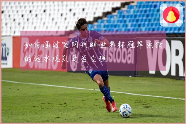 如何通过官网判断世界杯冠军竞猜的返水规则是否合理