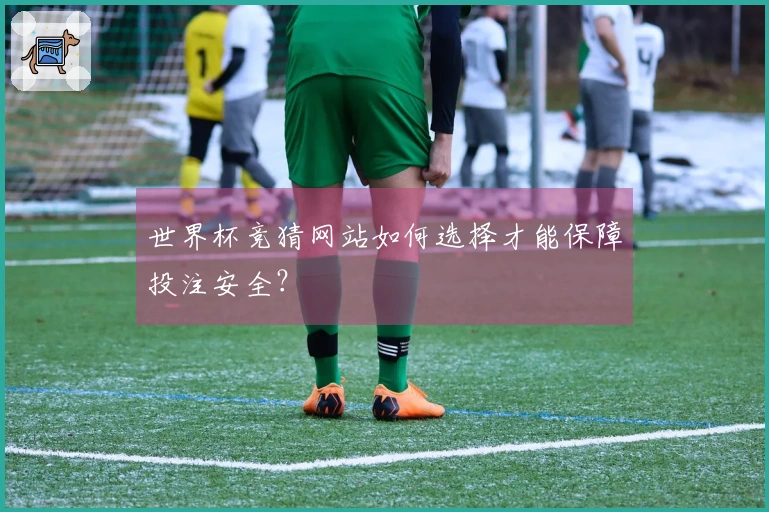 世界杯竞猜网站如何选择才能保障投注安全？