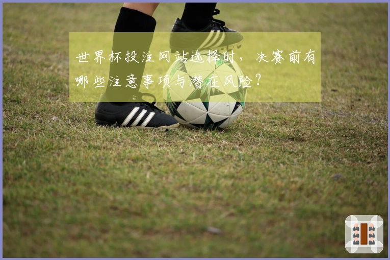 世界杯投注网站选择时，决赛前有哪些注意事项与潜在风险？