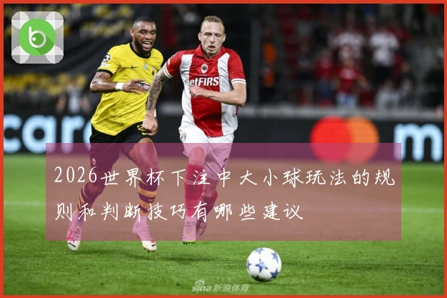 2026世界杯下注中大小球玩法的规则和判断技巧有哪些建议