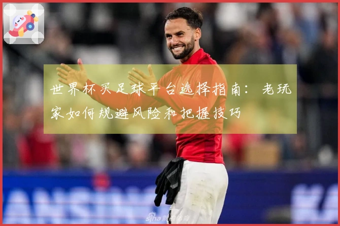 世界杯买足球平台选择指南：老玩家如何规避风险和把握技巧