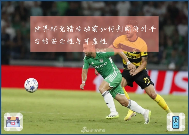 世界杯竞猜活动前如何判断海外平台的安全性与可靠性