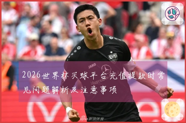 2026世界杯买球平台充值提款时常见问题解析及注意事项