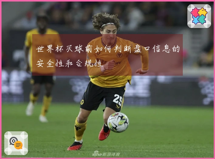 世界杯买球前如何判断盘口信息的安全性和合规性