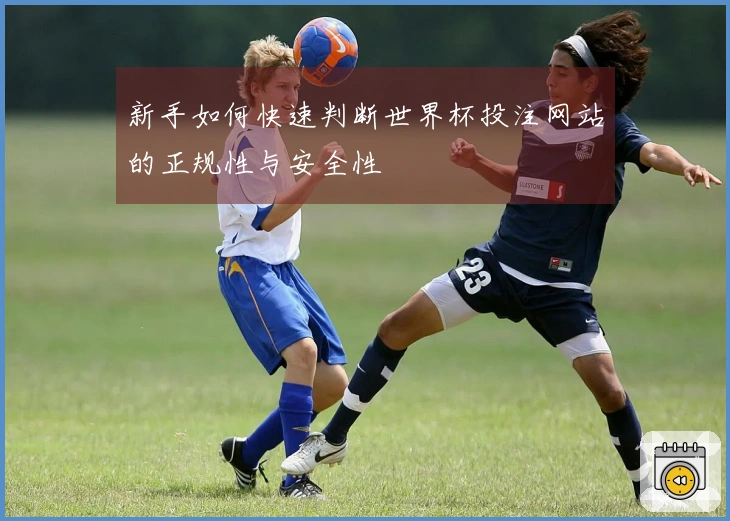 新手如何快速判断世界杯投注网站的正规性与安全性