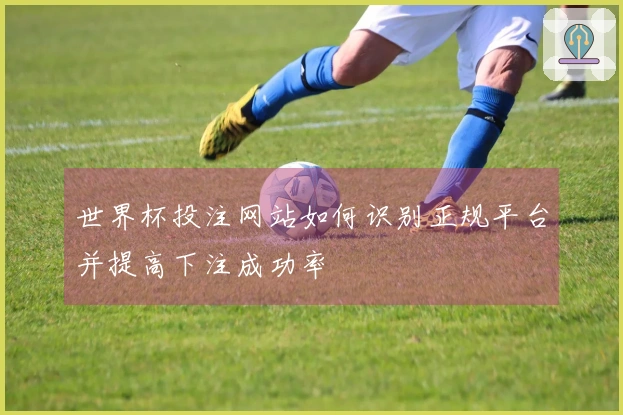 世界杯投注网站如何识别正规平台并提高下注成功率