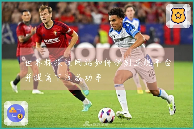 世界杯投注网站如何识别正规平台并提高下注成功率