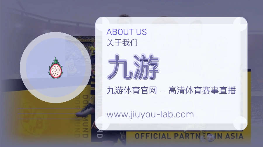 关于 九游